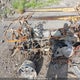 LCELVYZ36E6000017 2014 Cf Moto Cforce auction photo thumbnail 8
