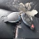 WDDGF8FBXBA516714 2011 Mercedes-Benz C 250 4Matic auction photo thumbnail 11