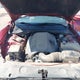 2C3CDXCT0EH226126 2014 Dodge Charger R/T auction photo thumbnail 10