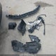 2HGFE2F30RH118410 2024 Honda Civic Ex auction photo thumbnail 12