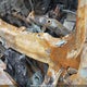 1GCUKNEC6HF212728 2017 Chevrolet Silverado 1500 Ls/Wt auction photo thumbnail 9