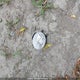 2T3WFREVXJW512606 2018 Toyota Rav4 auction photo thumbnail 12