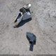 KM8J3CA42KU907645 2019 Hyundai Tucson auction photo thumbnail 12
