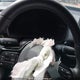 2HGFE2F3XPH110389 2023 Honda Civic auction photo thumbnail 7