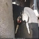 JA4MS31X27Z600737 2007 Mitsubishi Outlander Es/Ls auction photo thumbnail 11