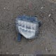 KM8SNDHF9HU176359 2017 Hyundai Santa Fe Xl Ultimate auction photo thumbnail 12