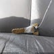 5J6RE4H76AL802595 2010 Honda Cr-V Exl auction photo thumbnail 11