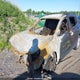 3GKALMEV9JL230152 2018 GMC Terrain Sle auction photo thumbnail 6