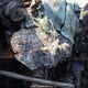 3GKALMEV9JL230152 2018 GMC Terrain Sle auction photo thumbnail 7