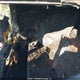 3GKALMEV9JL230152 2018 GMC Terrain Sle auction photo thumbnail 8