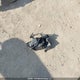 KM8J3CAL8LU186580 2020 Hyundai Tucson Luxury auction photo thumbnail 12