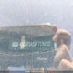 KNDJP3A59F7176010 2015 Kia Soul + auction photo thumbnail 9
