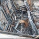 1J4RS5GT9BC789906 2011 Jeep Grand Cherokee Limited auction photo thumbnail 8
