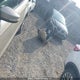 1FMCU9J99HUB68853 2017 Ford Escape Titanium auction photo thumbnail 12