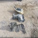 JF2SHCDC8BH745530 2011 Subaru Forester 2.5 X Limited Package auction photo thumbnail 12