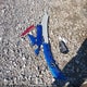 1G1FH1R76G0135544 2016 Chevrolet Camaro 2Ss auction photo thumbnail 12