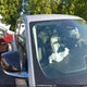 1C4RJHBG8PC628247 2023 Jeep Grand Cherokee Limited auction photo thumbnail 19