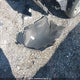 5NPDH4AE3CH124783 2012 Hyundai Elantra Gls/Limited auction photo thumbnail 12