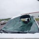 1GTP9EED5KZ417884 2019 GMC Sierra 1500 At4 auction photo thumbnail 17