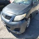 2T1BU40EX9C102182 2009 Toyota Corolla S/Le/Xle auction photo thumbnail 6