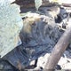 5FRYD4H29FB501725 2015 Acura Mdx auction photo thumbnail 7