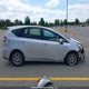 JTDZN3EU5HJ067589 2017 Toyota Prius auction photo thumbnail 13