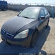 1HGCM56886A808130 2006 Honda Accord Ex-L auction photo thumbnail 2