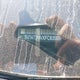 5N1AT2MVXFC835684 2015 Nissan Rogue S/Sl/Sv auction photo thumbnail 19