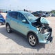1FMCU0GX6DUC74365 2013 Ford Escape Se auction photo thumbnail 1