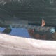 2HKRM3H55CH001259 2012 Honda Cr-V Ex auction photo thumbnail 20