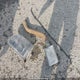 5TEWM72N22Z086074 2002 Toyota Tacoma auction photo thumbnail 12