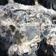 1FADP3K29EL444695 2014 Ford Focus Se auction photo thumbnail 7