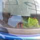 1FTZR45E88PA50527 2008 Ford Ranger auction photo thumbnail 19