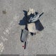 2GNAXSEV4M6107203 2021 Chevrolet Equinox Ls auction photo thumbnail 12