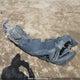 2HKRW2H27LH212733 2020 Honda Cr-V Lx auction photo thumbnail 12