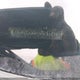 2B3KA53H96H143751 2006 Dodge Charger R/T auction photo thumbnail 19
