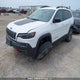 1C4PJMBX2ND507978 2022 Jeep Cherokee Trailhawk auction photo thumbnail 2