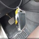 5UXKT0C55G0S79381 2016 BMW X5 Xdr40E auction photo thumbnail 11