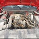 1GCEC14XX9Z252454 2009 Chevrolet Silverado 1500 Wt auction photo thumbnail 10