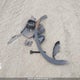 2HKRS4H75RH110861 2024 Honda Cr-V Exl auction photo thumbnail 12