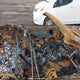 1ZVBP8EN8A5118368 2010 Ford Mustang auction photo thumbnail 5