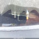 5NPET4AF2AH654753 2010 Hyundai Sonata Gls auction photo thumbnail 19