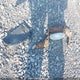 1HGCP3F80BA800688 2011 Honda Accord Ex-L V6 auction photo thumbnail 12