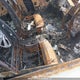 5N1AT2MV9FC872466 2015 Nissan Rogue S/Sl/Sv auction photo thumbnail 5