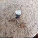 1UJBJ02M291JT0083 2009 Jayco Jay Feather auction photo thumbnail 11