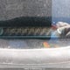 1HGCT2B87FA800625 2015 Honda Accord auction photo thumbnail 9
