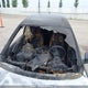 3VWD67AJ3GM397305 2016 Volkswagen Jetta 1.4 Tsi Comfortline auction photo thumbnail 16