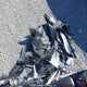 MH3RH18N3RK002799 2024 Yamaha Yzfr3 A auction photo thumbnail 12