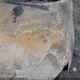 3VW467AJXCM406026 2012 Volkswagen Jetta Gli auction photo thumbnail 9