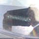 2T1BURHEXEC178710 2014 Toyota Corolla Le auction photo thumbnail 18
